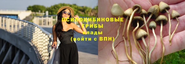 a pvp Алзамай