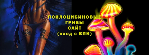 PSILOCYBIN Алексеевка