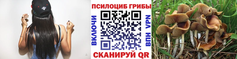 Галлюциногенные грибы GOLDEN TEACHER  Каргат 